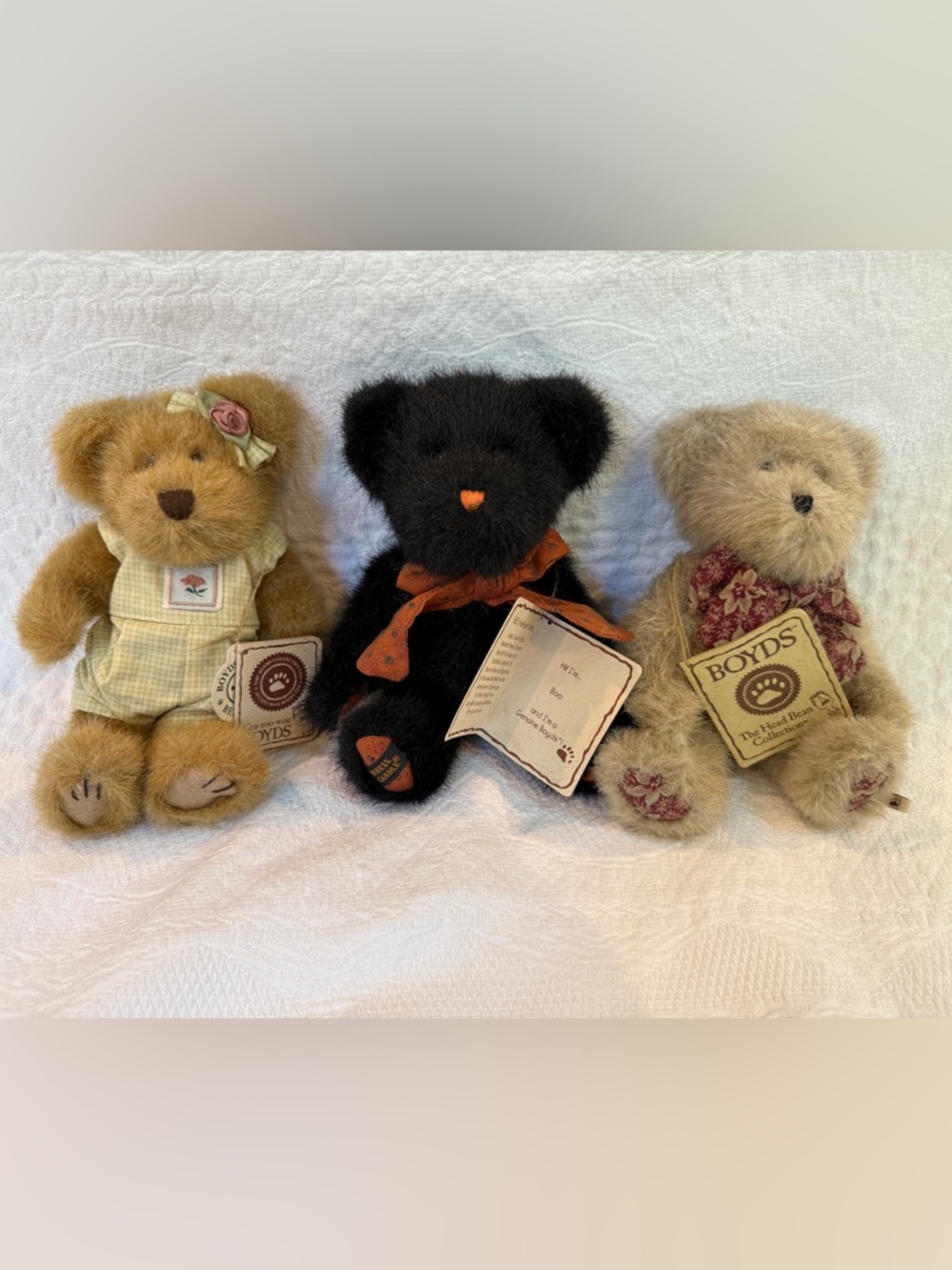 Boyds Bears Lot Of 3 Head Bean & Genyoowine Collections NWT